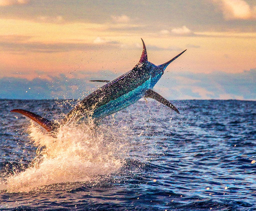 Bahamas