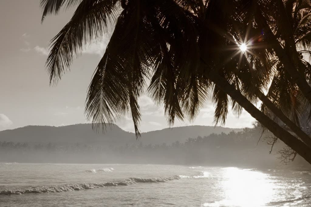 Trinidad & Tobago