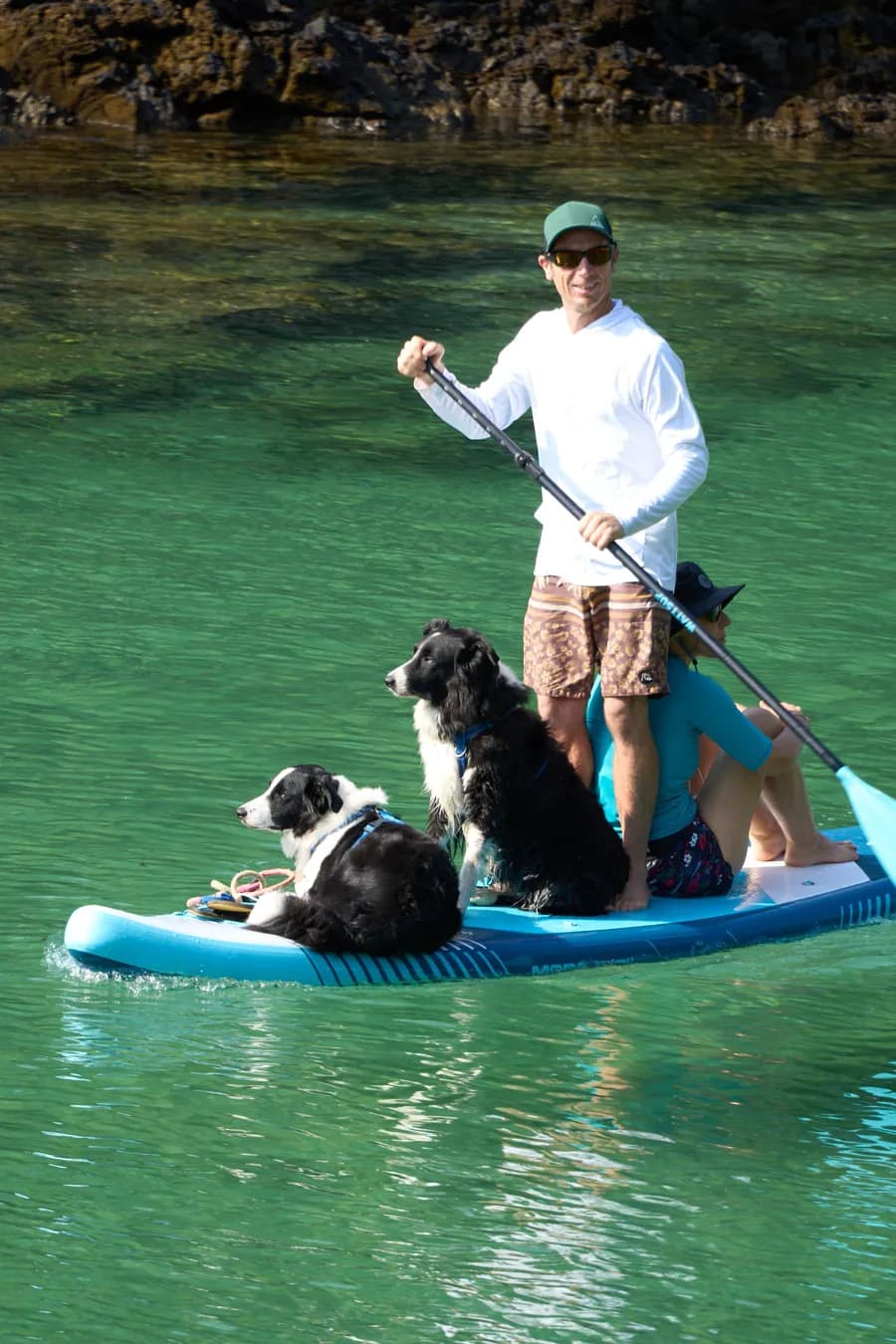 Two dogs sitting on a paddleboard in clear water
