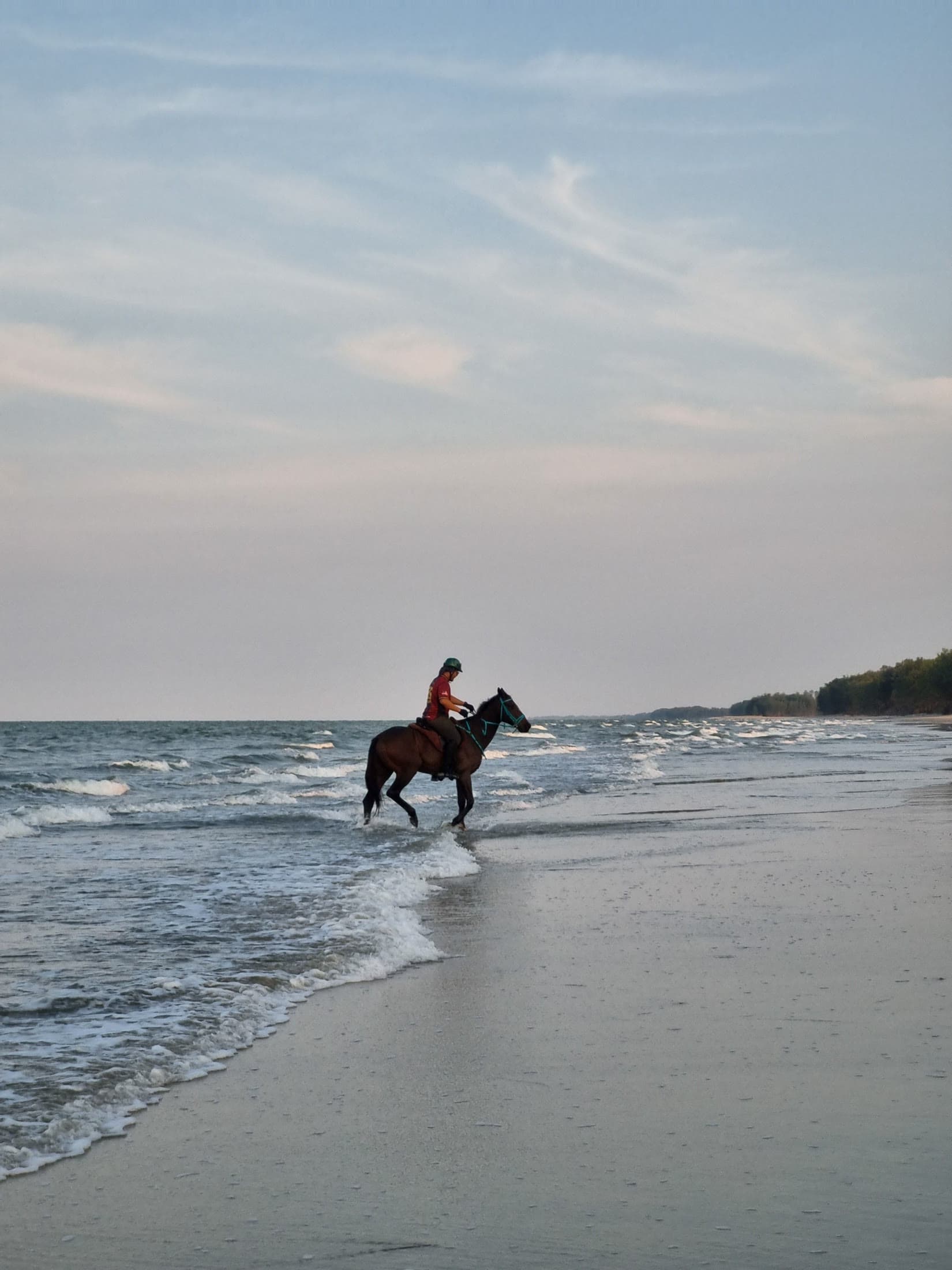 boy in straw hat beside horse on sunny beach
