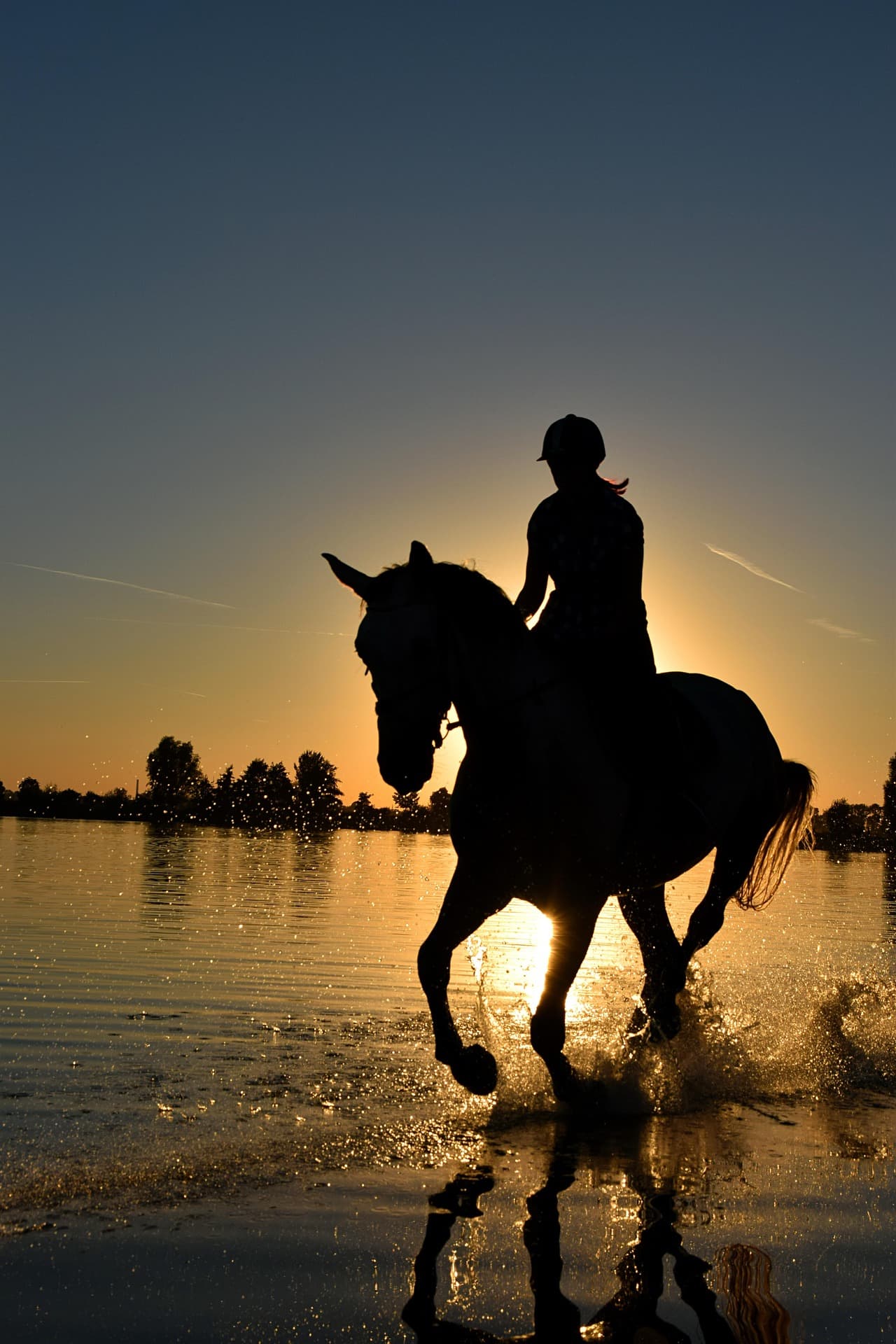 silhouette of rider and horse cantering through water at sunset