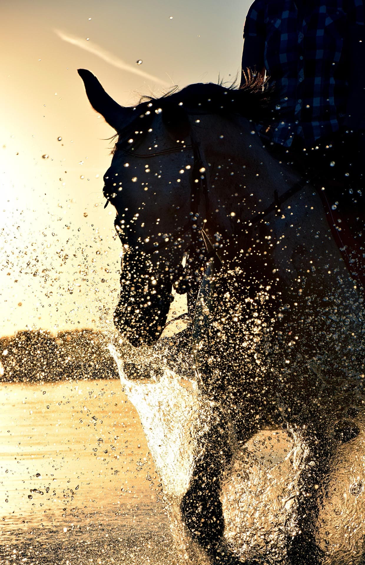 rider splashing grey horse through water, bright sky